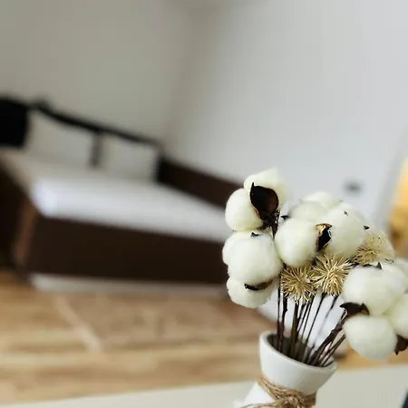 Asi Marine Apartment